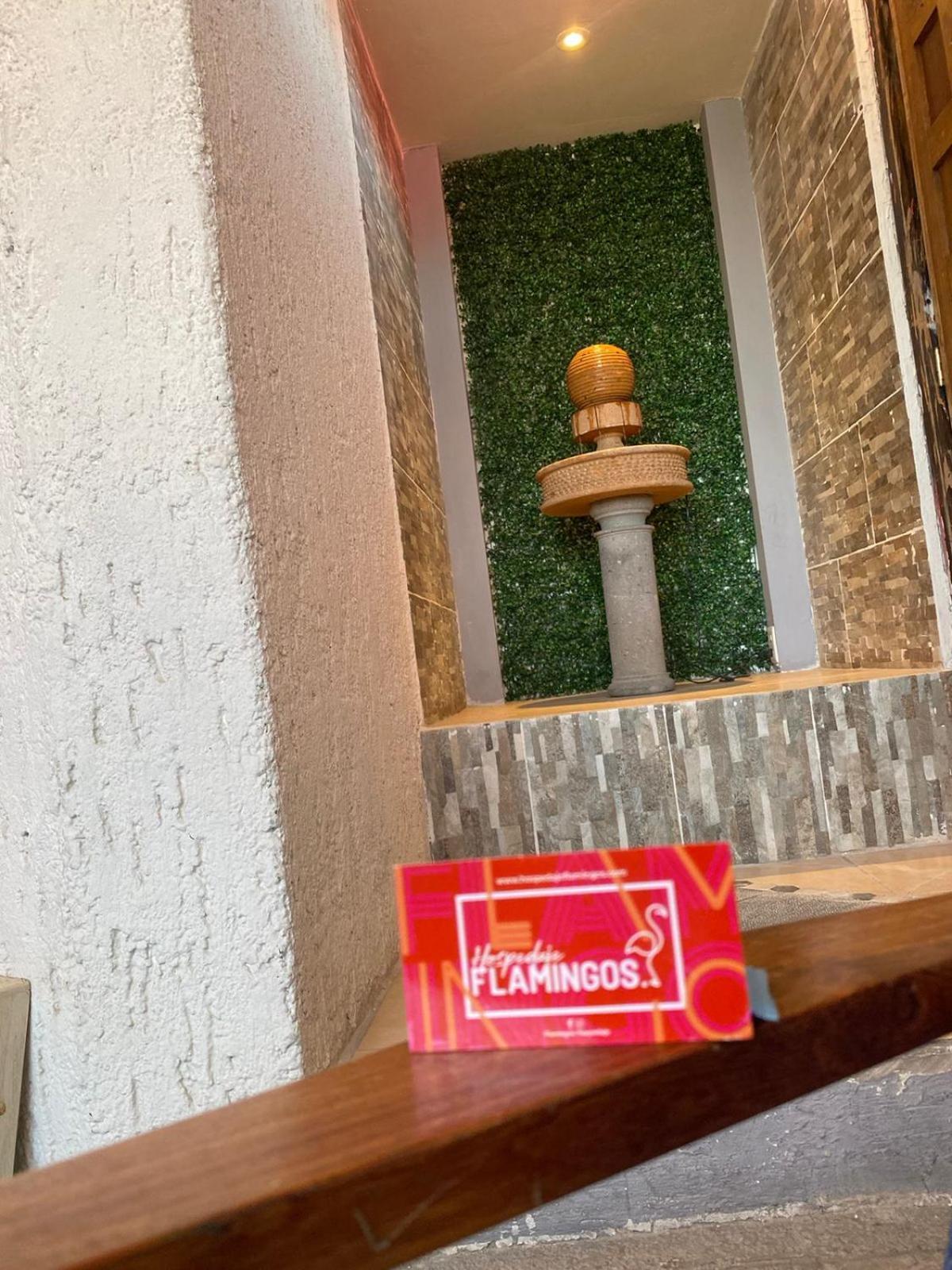 Hotel Flamingos Guadalajara Ngoại thất bức ảnh
