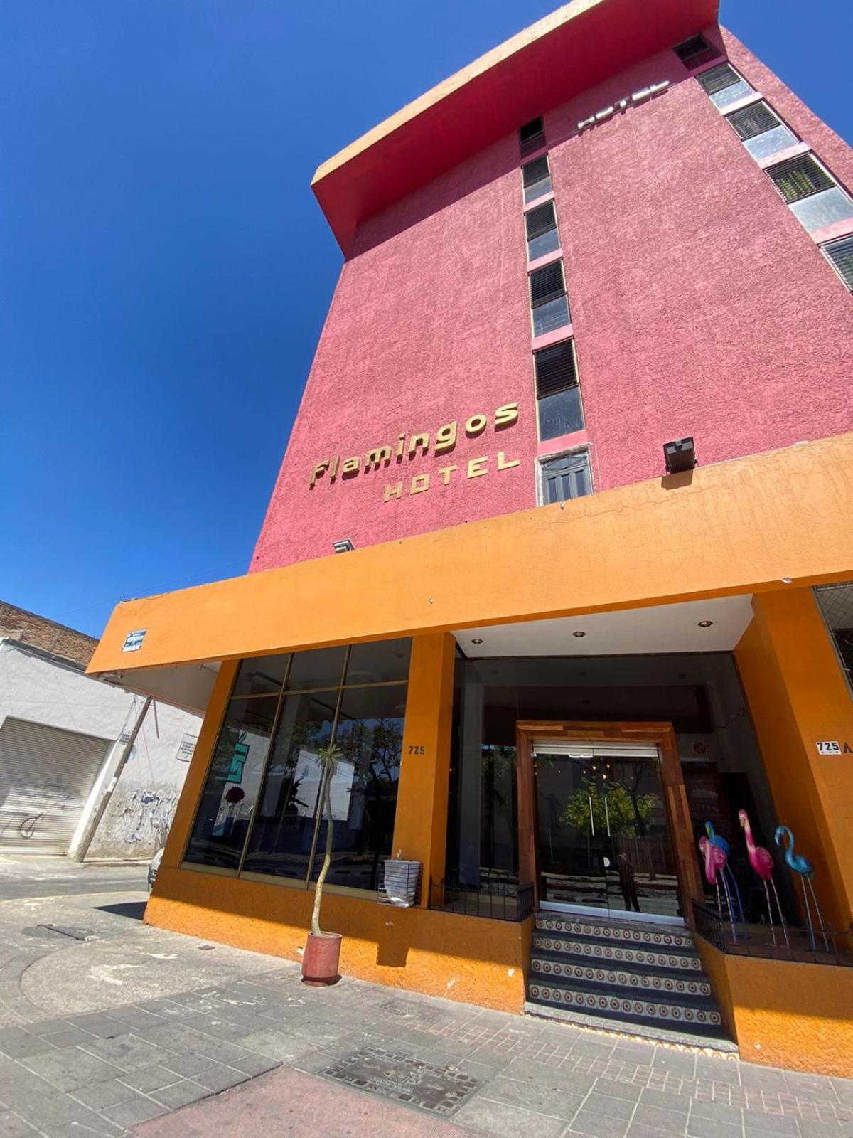Hotel Flamingos Guadalajara Ngoại thất bức ảnh